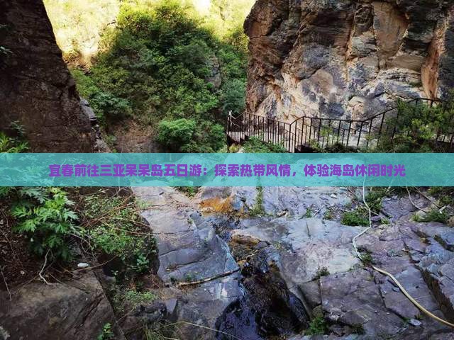 宜春前往三亚呆呆岛五日游：探索热带风情，体验海岛休闲时光
