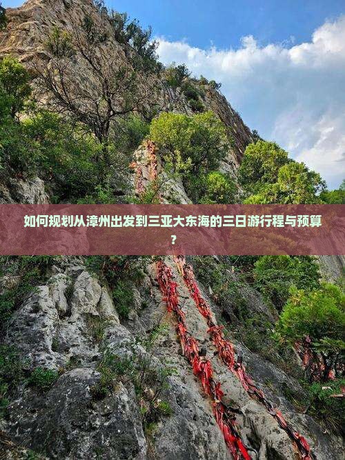 如何规划从漳州出发到三亚大东海的三日游行程与预算？