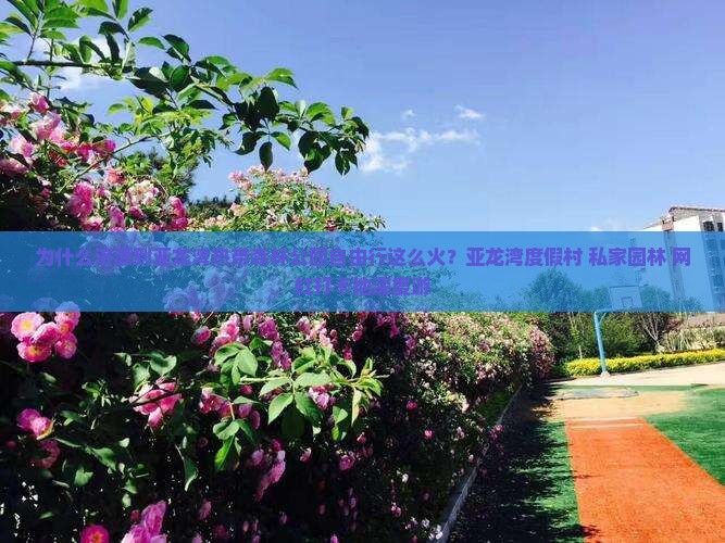 为什么济源到亚龙湾热带森林公园自由行这么火？亚龙湾度假村+私家园林+网红打卡地深度游