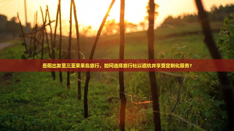 岳阳出发至三亚呆呆岛旅行，如何选择旅行社以避坑并享受定制化服务？