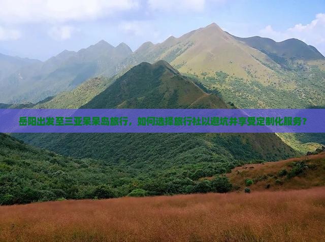 岳阳出发至三亚呆呆岛旅行，如何选择旅行社以避坑并享受定制化服务？