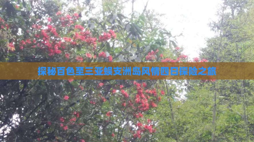 探秘百色至三亚蜈支洲岛风情四日探险之旅