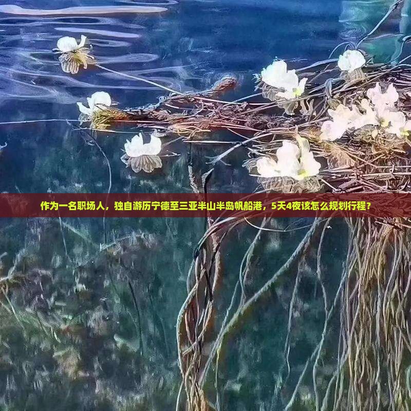 作为一名职场人，独自游历宁德至三亚半山半岛帆船港，5天4夜该怎么规划行程？