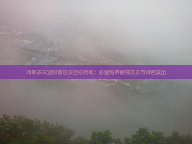阿坝去三亚呀诺达景区必玩地：必看热带雨林美景与特色演出