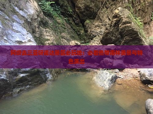 阿坝去三亚呀诺达景区必玩地：必看热带雨林美景与特色演出