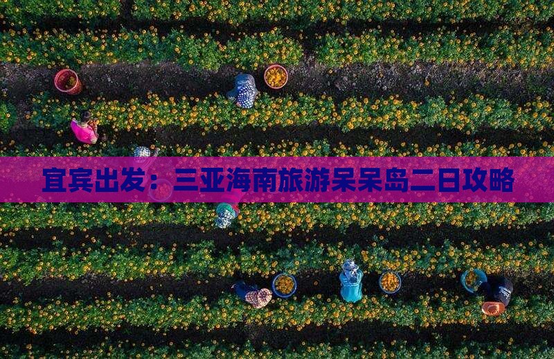 宜宾出发：三亚海南旅游呆呆岛二日攻略