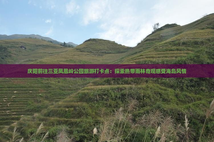庆阳前往三亚凤凰岭公园旅游打卡点：探索热带雨林奇观感受海岛风情