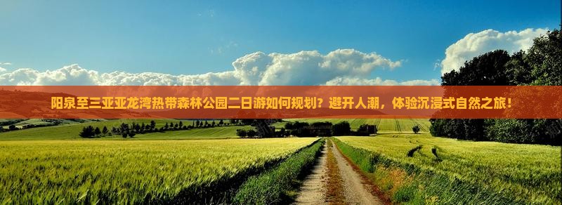 阳泉至三亚亚龙湾热带森林公园二日游如何规划？避开人潮，体验沉浸式自然之旅！