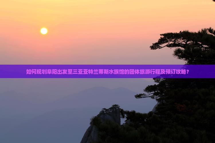 如何规划阜阳出发至三亚亚特兰蒂斯水族馆的团体旅游行程及预订攻略？