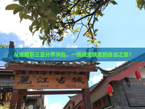 从洛阳到三亚分界洲岛，一场说走就走的自由之旅？