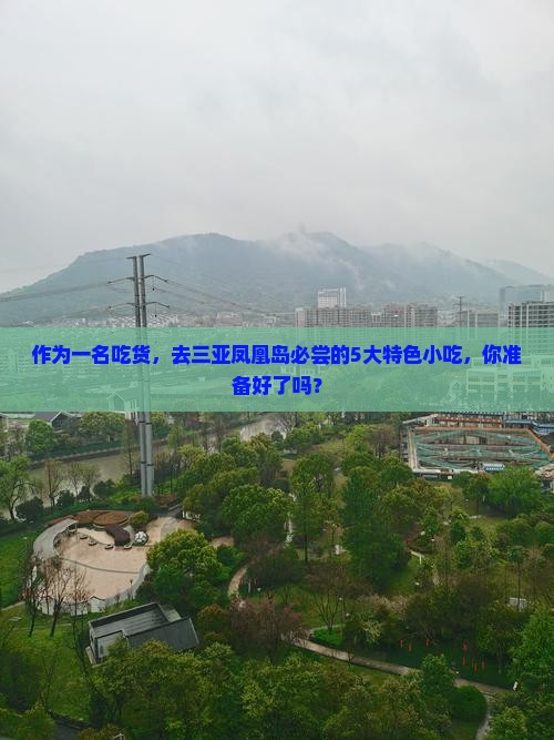 作为一名吃货，去三亚凤凰岛必尝的5大特色小吃，你准备好了吗？