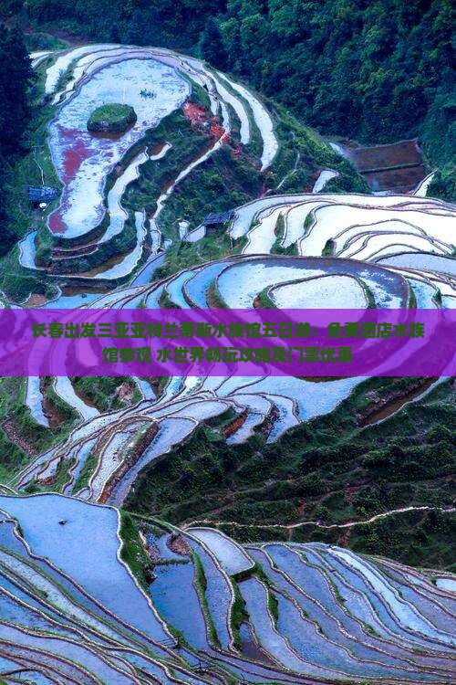 长春出发三亚亚特兰蒂斯水族馆五日游：免费酒店水族馆参观+水世界畅玩攻略及门票优惠