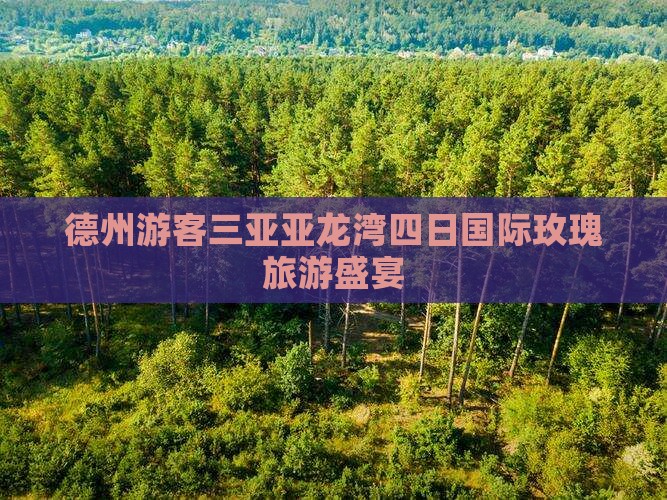 德州游客三亚亚龙湾四日国际玫瑰旅游盛宴