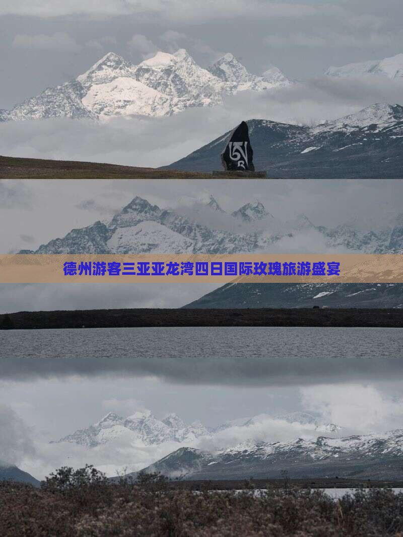 德州游客三亚亚龙湾四日国际玫瑰旅游盛宴