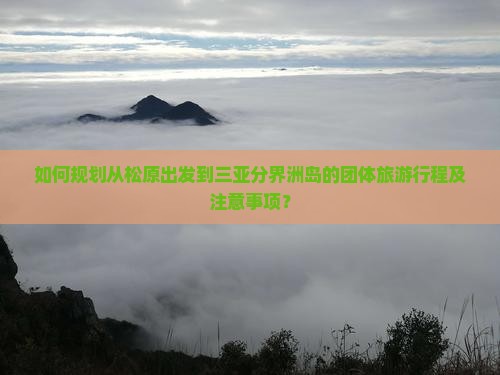 如何规划从松原出发到三亚分界洲岛的团体旅游行程及注意事项？
