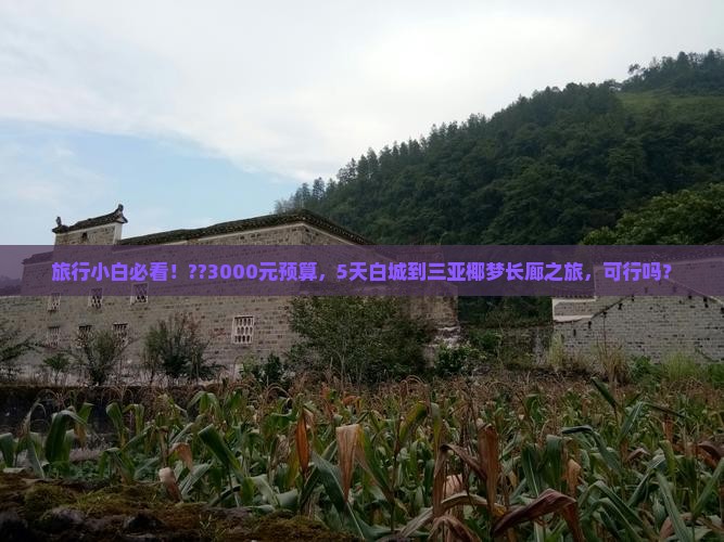 旅行小白必看！??3000元预算，5天白城到三亚椰梦长廊之旅，可行吗？