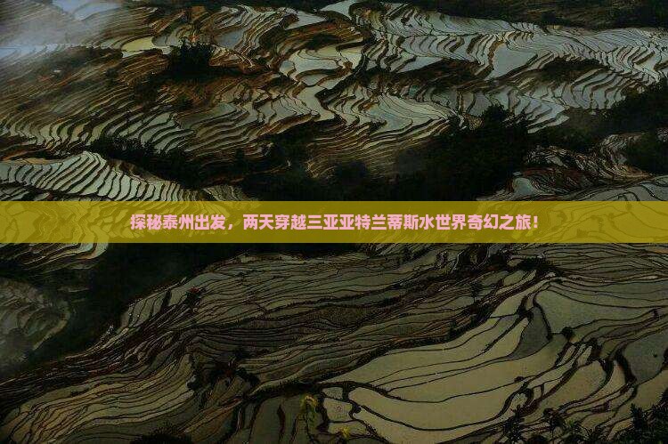 探秘泰州出发，两天穿越三亚亚特兰蒂斯水世界奇幻之旅！