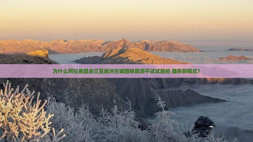 为什么阿拉善盟去三亚崖洲古城团体旅游不试试旅拍+康养新模式？