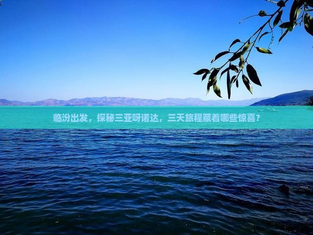 临汾出发，探秘三亚呀诺达，三天旅程藏着哪些惊喜？