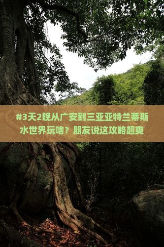 #3天2晚从广安到三亚亚特兰蒂斯水世界玩啥？朋友说这攻略超爽