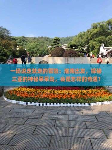 一场说走就走的冒险：淮南出发，探秘三亚的神秘呆呆岛，会是怎样的奇遇？