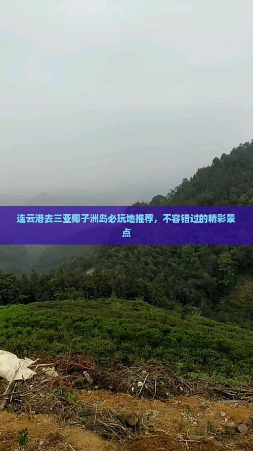 连云港去三亚椰子洲岛必玩地推荐，不容错过的精彩景点