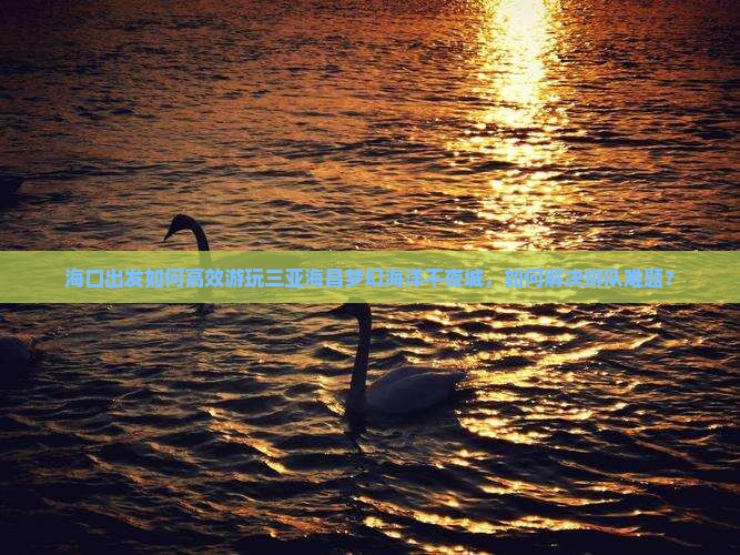 海口出发如何高效游玩三亚海昌梦幻海洋不夜城，如何解决排队难题？