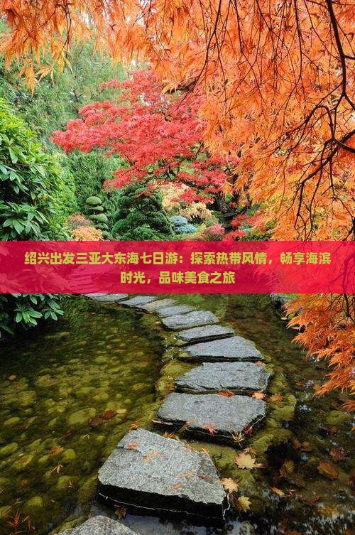 绍兴出发三亚大东海七日游：探索热带风情，畅享海滨时光，品味美食之旅