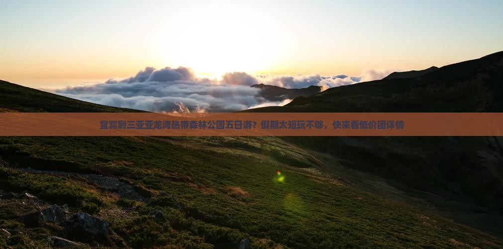 宜宾到三亚亚龙湾热带森林公园五日游？假期太短玩不够，快来看低价团详情