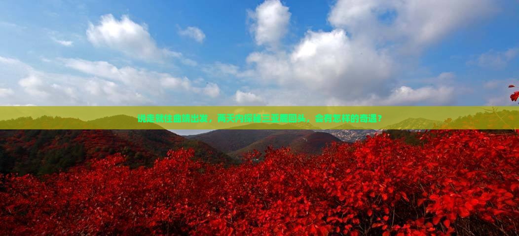 说走就住曲靖出发，两天内探秘三亚鹿回头，会有怎样的奇遇？