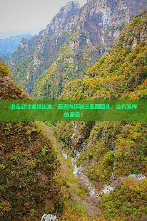 说走就住曲靖出发，两天内探秘三亚鹿回头，会有怎样的奇遇？