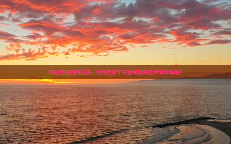 向往自由的阿拉尔，为何选择了三亚凤凰岛这片浪漫海角？