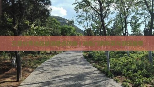 吉安出发三亚分界洲岛哪里玩