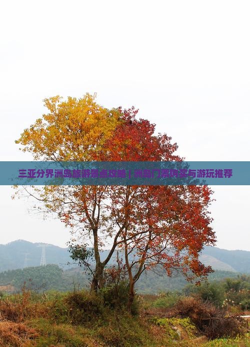 吉安出发三亚分界洲岛哪里玩
