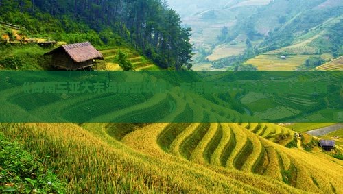 荆门去三亚大东海旅游打卡点