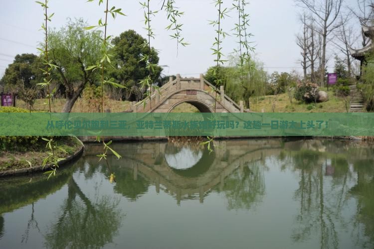 呼伦贝尔出发三亚亚特兰蒂斯水族馆一日游