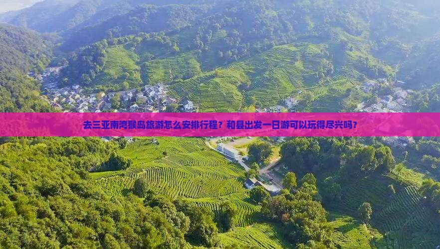 和县去三亚南湾猴岛一日游
