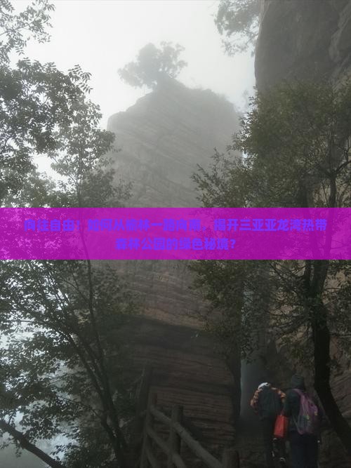 榆林去三亚亚龙湾热带森林公园攻略