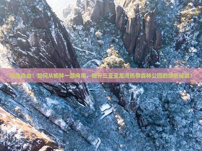 榆林去三亚亚龙湾热带森林公园攻略