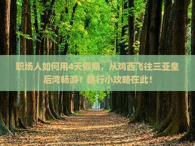 鸡西前往三亚皇后湾四日游