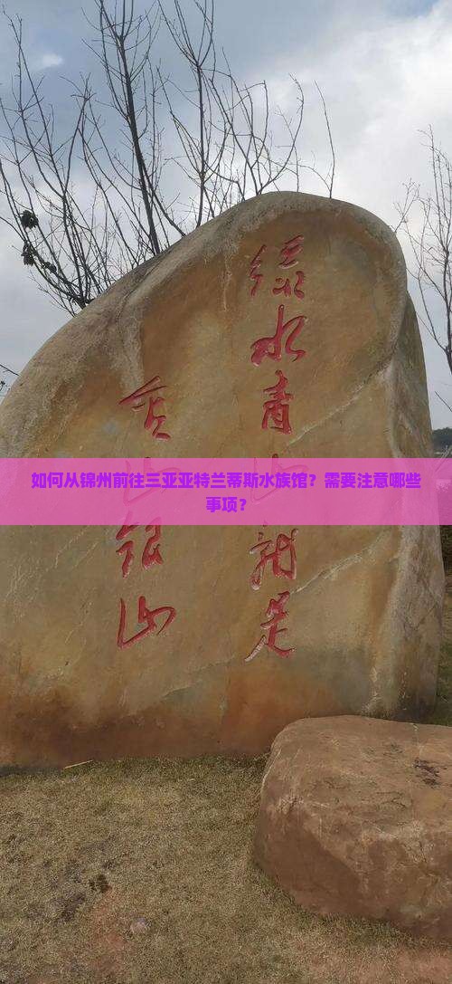 锦州前往三亚亚特兰蒂斯水族馆旅游