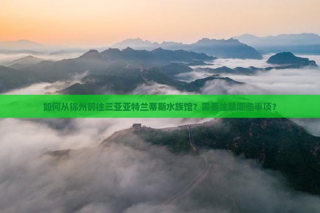 锦州前往三亚亚特兰蒂斯水族馆旅游