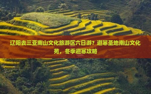 辽阳去三亚南山文化旅游区六日游