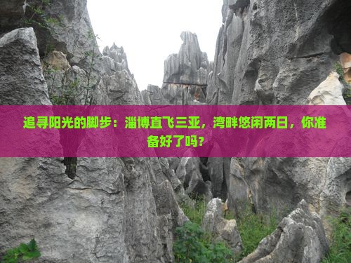 淄博出发三亚三亚湾二日游