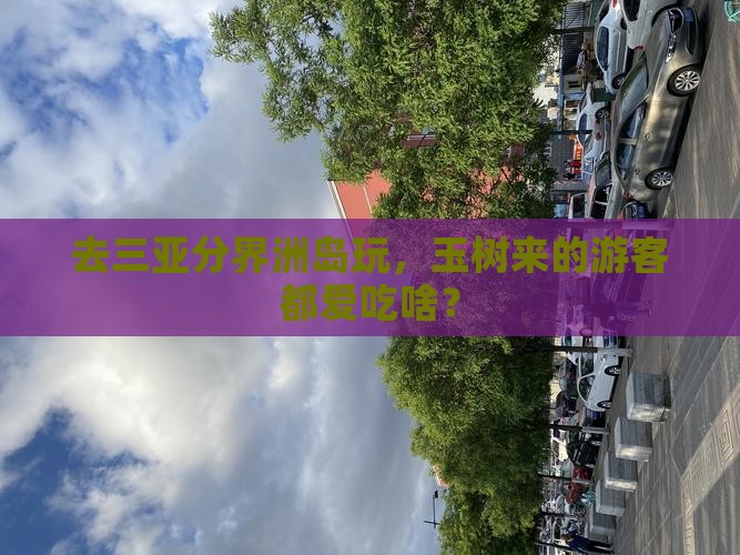 玉树去三亚分界洲岛旅游小吃
