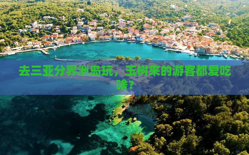 玉树去三亚分界洲岛旅游小吃