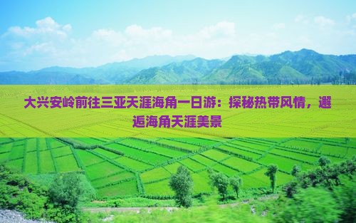 大兴安岭前往三亚天涯海角一日游