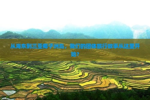 海东出发三亚椰子洲岛团体旅游