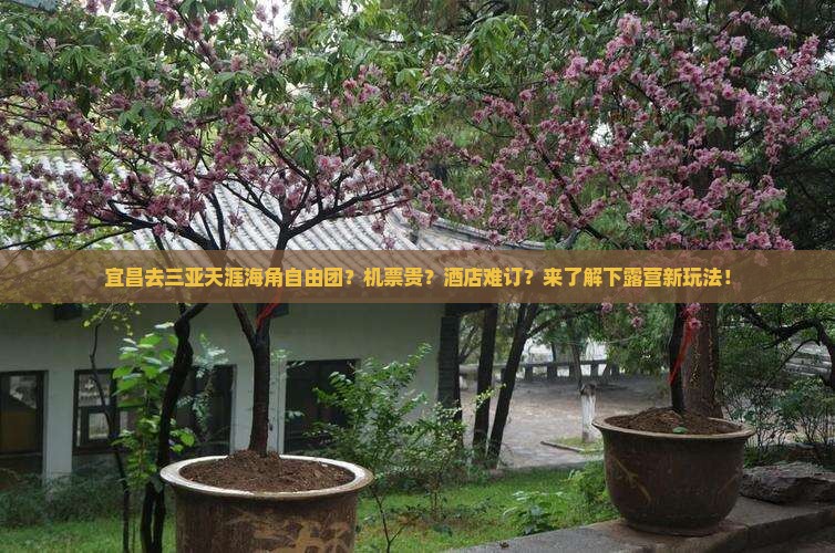 宜昌去三亚天涯海角自由团