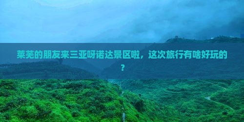 莱芜去三亚呀诺达景区大型旅游团